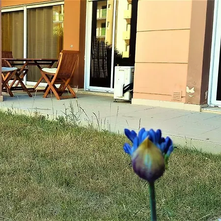 Litoral Mar 7 ポルティマン