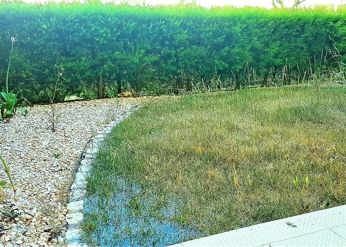 Apartament Litoral Mar 7 *